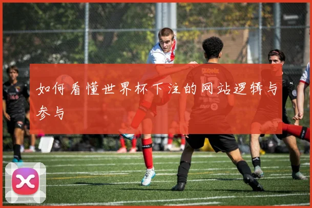 如何看懂世界杯下注的网站逻辑与参与